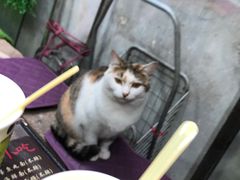 -老宅原住民沙茶面精品小吃(龙头路店)