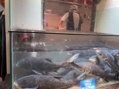 -上名堂·鱼头好吃(体育场路店)