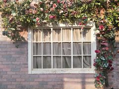 -千龙湖生态旅游度假区