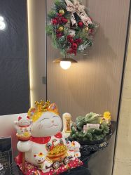 -半岛故事·法儿曼抗衰·indiba中心