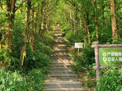-东白山