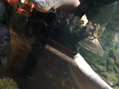 -华夏文旅西安度假区