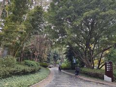 -柳侯公园