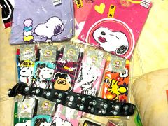 -史努比缤纷世界