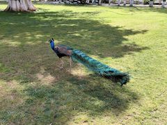 -西昌邛海宾馆