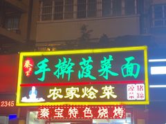 -秦君宝手擀菠菜面(金花路店)
