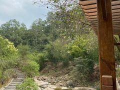 -广州白江湖森林公园