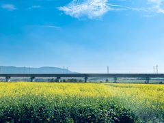 -光明小镇欢乐田园
