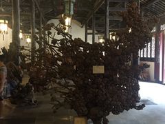 -东方明珠国际旅行社有限公司