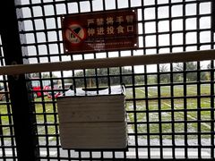 -黑瞎子岛探秘野熊园