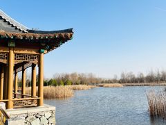 -张家湾公园