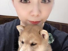 -逗柴咖啡屋·狗咖猫咖宠物桌游