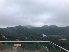 -青岛森林野生动物世界