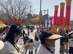 -大槐树寻根祭祖园