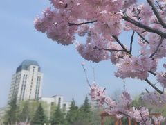 -江南大学(蠡湖校区)