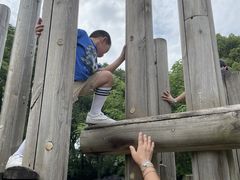 -共青国家森林公园-售票处