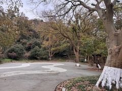 -紫金山山顶公园