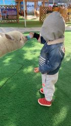 -萌宠亲子动物乐园(槐房万达店)