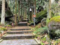 -大围山国家森林公园