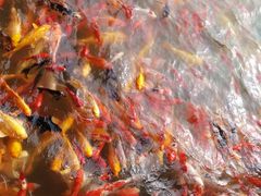 -泰安地下龙宫景区