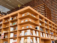 -朵云书院(滴水湖店)