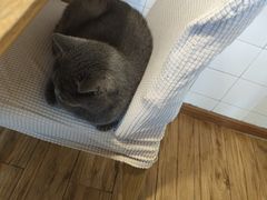 -春笙食堂.丼饭拉面寿司(GOGO新天地店)