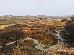 -塞罕坝国家级自然保护区