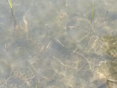 -太湖湖滨国家湿地公园-停车场