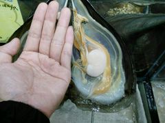 -蚝专家(北滘店)