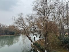 -滨湖塘西河公园