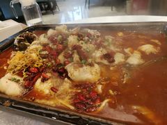 -飞鹿餐饮·陕南菜(北关店)