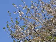 -长沙市青少年宫