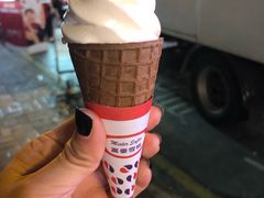 -富豪雪糕车流动点(尖沙咀)