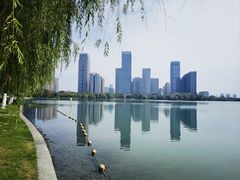 -天鹅湖体育公园