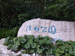 -成都市活水公园