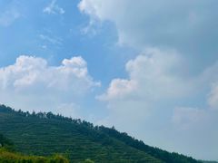 -冶父山国家森林公园