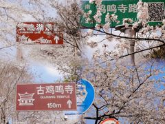 -鸡鸣寺