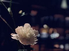 -见山茶事(丽水路店)