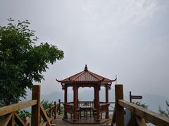 -大岭沟猕猴桃谷风景区