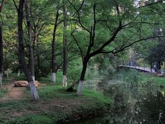 -长白岛森林公园