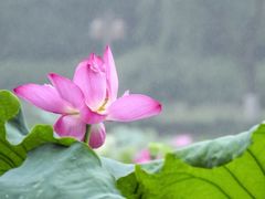 -合肥市图书馆