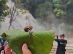 -关西瀑布