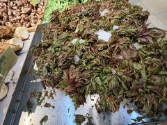 -新隆嘉 供销超市(修竹商场店)