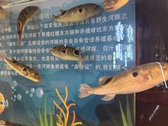 -肆月河豚·淮扬菜·湘菜(华天店)