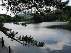 -庐山风景区花径公园