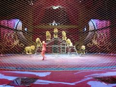 -珠海横琴长隆《卡卡虎奇遇记》