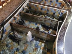 -缘福乡村铁锅炖民宿(八达岭店)