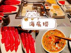 -海底捞火锅(海宁路店)
