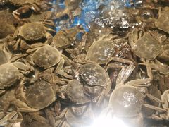 -宴立方海鲜自助(义乌万达广场店)