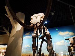 -国家自然博物馆